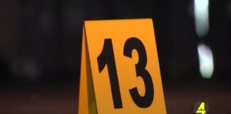 გარდაბანში მომხდარი განზრახ მკვლელობის მცდელობის ფაქტზე 3 პირი დააკავეს