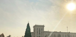 რუსთავში მთავარი ნაძვის ხე 25 დეკემბერს აინთება