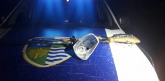 ბოლნისში უკანონო ნადირობის ფაქტი გამოვლინდა