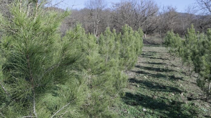 266714984_2757292847750358_4282233494320589053_n