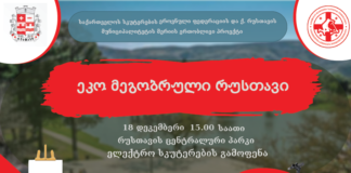 ცენტრალურ პარკში რუსთავის მერიის მხარდაჭერით, პროექტი “ეკო მეგობრული რუსთავი” გაიმართება