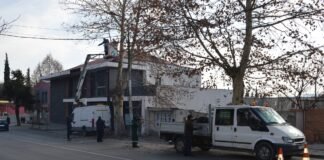 ბოლნისის მუნიციპალიტეტის გამწვანების სამსახური სანიტარულ ჭრებს ახორციელებს