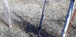 უკანონო ნადირობის ფაქტი გამოვლინდა