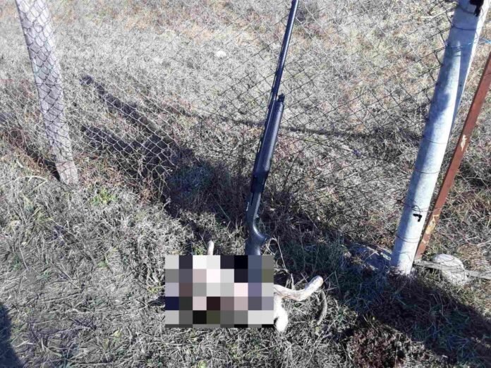 269844549_5678245175523187_274716569099920102_n