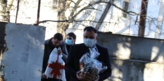 გოგი მეშველიანმა ჯანდაცვის ცენტრებს დამდეგი შობა-ახალი წელი მიულოცა