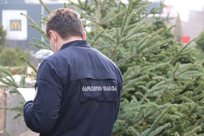 WIWVOVANI XE MCENAREEBI