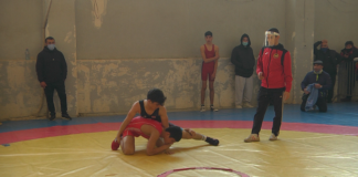 რუსთაველი მოჭიდავეების წარმატება რუმინეთში