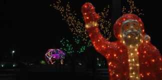 სად და რა კონცერტი გაიმართება რუსთავში ახალ წელს