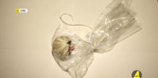 Xronika ქრონიკა აზერბაიჯანულ ენაზე 16.12.2021