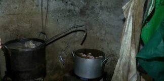 კრიტიკული შეუსაბამობებისთვის ხორცის საწარმო დალუქეს