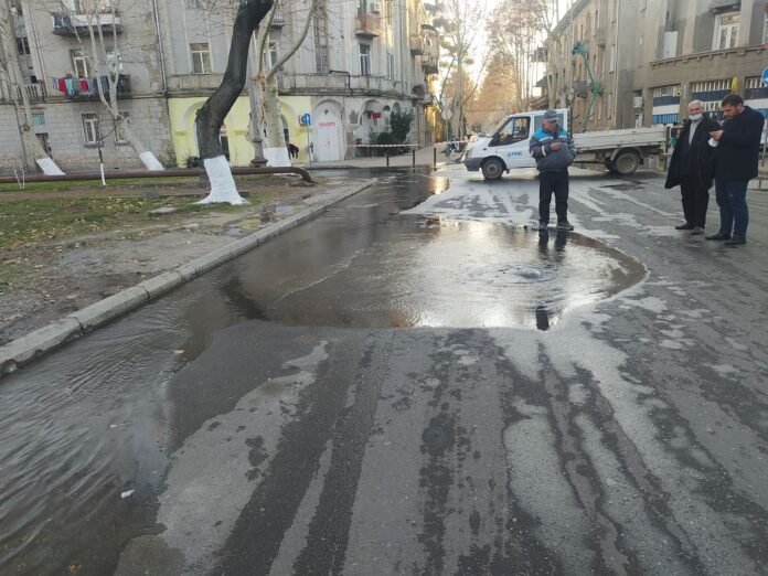 257598129_686172452563703_7820038745707234231_n (1)