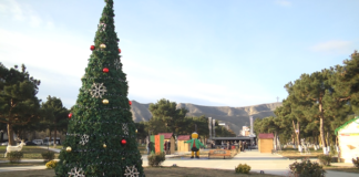 რუსთავში საახალწლო ღონისძიებისთვის მზადება აქტიუარად მიმდინარეობს