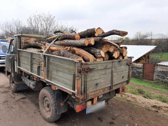 271382694_5723426201005084_7576851487166330373_n