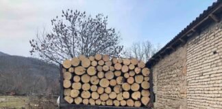 ქვემო ქართლში ხე-ტყის უკანონო ტრანსპორტირების 1 ფაქტი გამოვლინდა