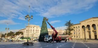 რუსთავში მთავარი ნაძვის ხის დემონტაჟი მიმდინარეობს