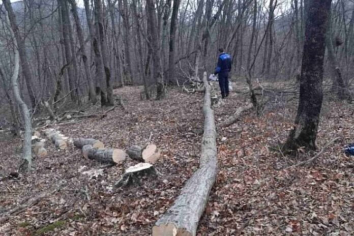 2FB7C402-8B73-4179-B9AE-F61F17D60BE3