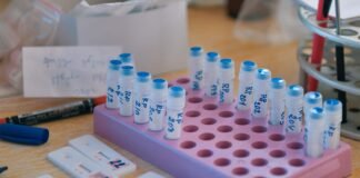 რუსთავში მუნიციპალური ავტოტრანსპორტის თანამშრომლებს ტესტირება უტარდებათ