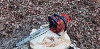 უკანონო ტყითსარგებლობის ფაქტები ქვემო ქართლში