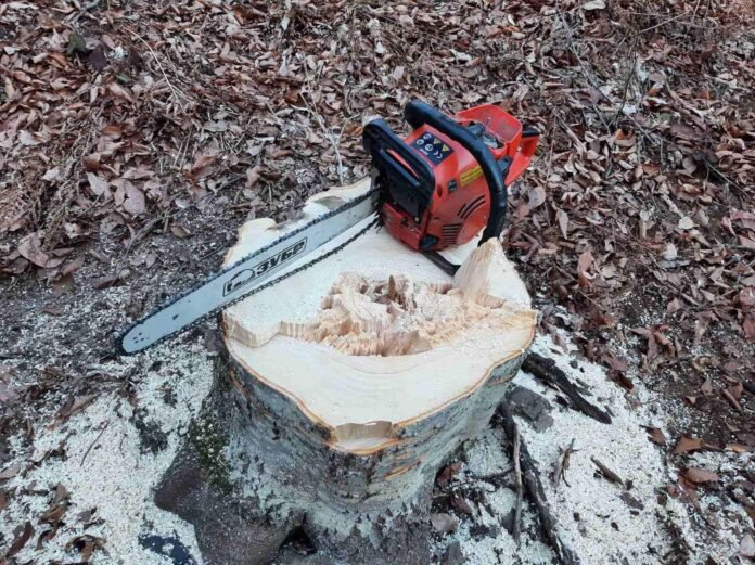 F1D52570-6D11-43FC-9FCA-8C3D1D5813AF