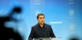 პაპუაშვილი: მოვუწოდებთ საერთაშორისო საზოგადოებას, გადადგას ქმედითი და მტკიცე ნაბიჯები