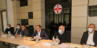 ქვემო ქართლში 100 მილიონი დოლარის უცხოური ინვესტიციის განხორციელება იგეგმება