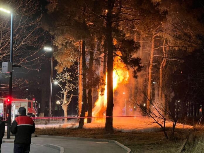 273241464_372774564702234_8346482446423792236_n (1)