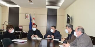 ბოლნისის მუნიციპალიტეტის მერმა მოქალაქეების მიღება განაახლა