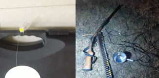 ქვემო ქართლში უკანონო ნადირობის 2 ფაქტი გამოვლინდა