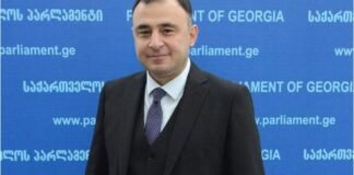 გოგი მეშველიანი საფინანსო-საბიუჯეტო კომიტეტის თავმჯდომარის მოადგილედ აირჩიეს