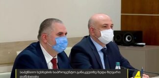 ქრონიკის დაიჯესტი 11.02.2022