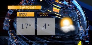 ქრონიკის დაიჯესტი 23.02.2022