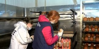 სეს-მ რუსთავში ნახევარ ტონაზე მეტი გაურკვეველი წარმომავლობის ხორცი დალუქა