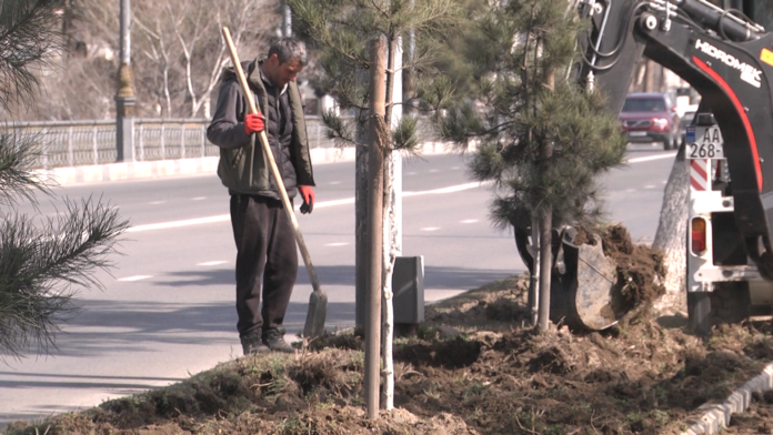 jandacva.00_01_05_13.Still001