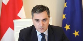 საქართველოს საგარეო საქმეთა მინისტრად ილია დარჩიაშვილი დაინიშნა