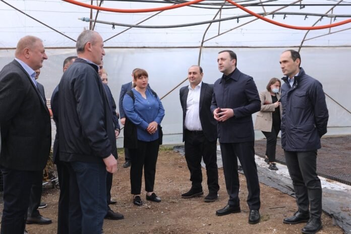 277811443_347619294065757_3700924570445657144_n