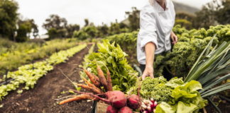 CENN ქალთა სასოფლო-სამეურნეო კოოპერატივების ხელშეწყობისთვის კონკურსს აცხადებს