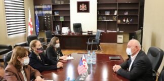 კელი დეგნანი რუსთავის საკრებულოს თავმჯდომარეს შეხვდა