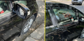 რუსთავში ავტომობილის სარკე მოიპარეს