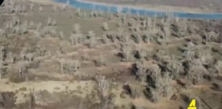 Xronika ქრონიკა აზერბაიჯანულ ენაზე 8.04.2022