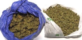 შსს-მ ნარკოდანაშაულისთვის შვიდი პირი დააკავა, მათ შორის ოთხი ნარკორეალიზატორი