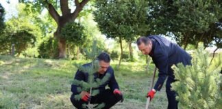 ბოლნისის კულტურისა და დასვენების პარკში გამწვანების აქცია მოეწყო