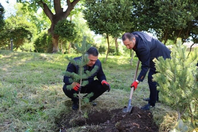 21A3F0FD-09DD-4615-B663-B67251900B91