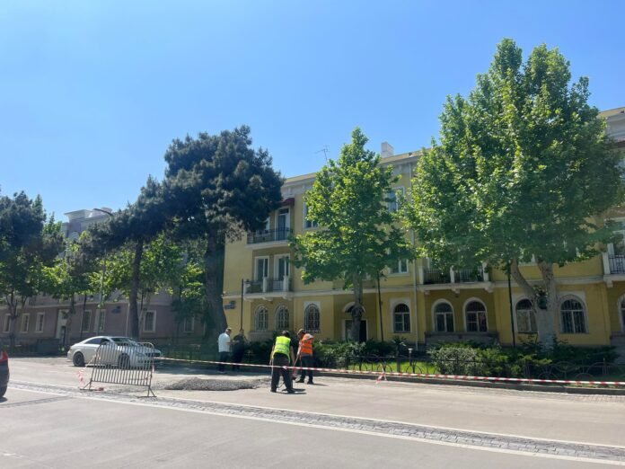 279570755_325903959521174_6460844988903790091_n