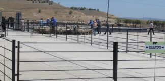 ქვემო ქართლში ვეტერინარულმა ზედამხედველობის პუნქტებმა მუშაობა განაახლა