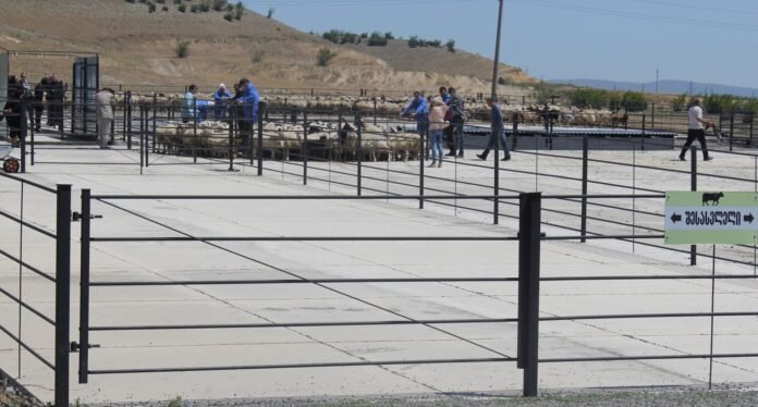 279908348_5062162840486237_6324122238085562065_n