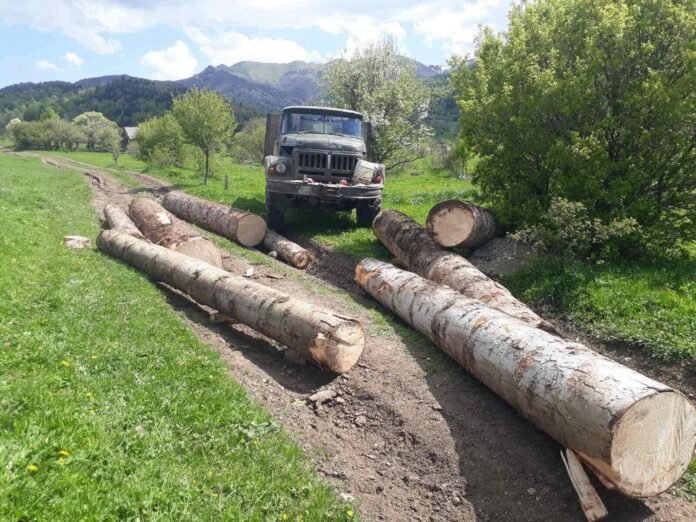 283768411_370836521741035_768017354628781371_n