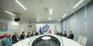 ვითარება საწვავის ბაზარზე – მთავრობის წევრები საწვავის დისტრიბუტორებს შეხვდნენ