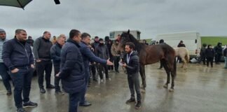 სოფელ მარტყოფში აპარნობას აღნიშნავენ