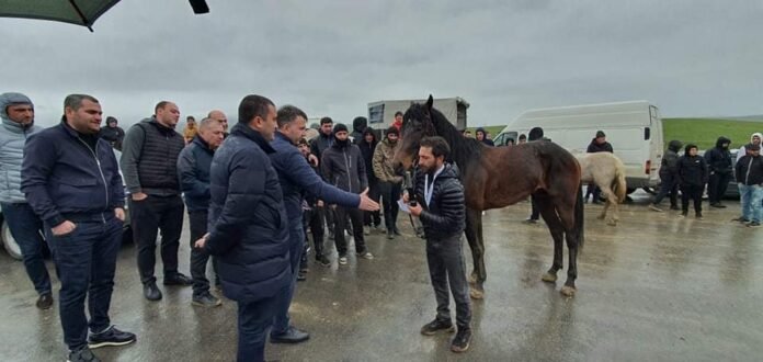 AABB311E-6D68-4FAD-8EE1-DA5D399170F3