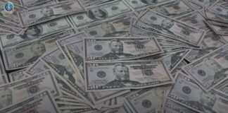 ყალბი ფულის გასაღების ფაქტი – ბრალდებულმა 36 200 აშშ დოლარის კუპიურა გაასაღა